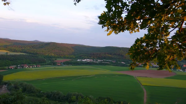 Pfalz Sunset Färgglada Kullar Gräs Träd Natur Högkvalitativt Foto — Stockfoto