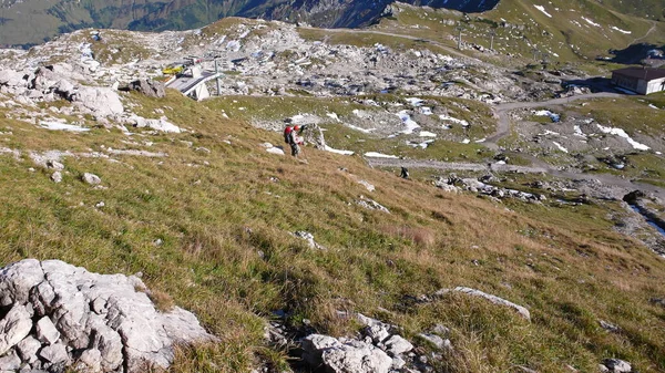 Hindelanger Klettersteig Gams Steinbock Montaña Alpinismo Bavaria Escalada Roca Foto — Foto de Stock