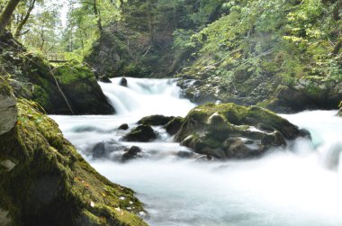  Vintgar Klamm Slowenien Nehri Vahşi Kayaları. Yüksek kalite fotoğraf