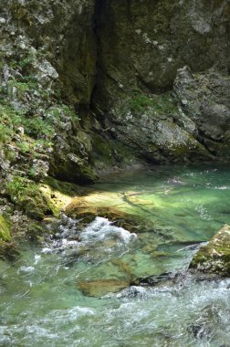  Vintgar Klamm Slowenien Nehri Vahşi Kayaları. Yüksek kalite fotoğraf