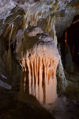 Postojna Mağarası Slowenien Stalactite, Earh 'ün altında. Yüksek kalite fotoğraf