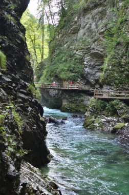  Vintgar Klamm Slowenien Nehri Vahşi Kayaları. Yüksek kalite fotoğraf