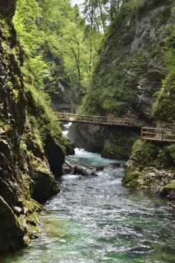  Vintgar Klamm Slowenien Nehri Vahşi Kayaları. Yüksek kalite fotoğraf