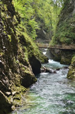  Vintgar Klamm Slowenien Nehri Vahşi Kayaları. Yüksek kalite fotoğraf