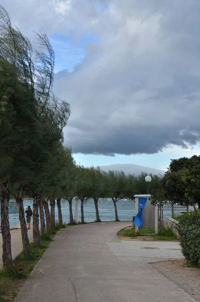 Krk Windi Coast Trees Ocean Spray Croatia Mediteranian Wether Υψηλής — Φωτογραφία Αρχείου