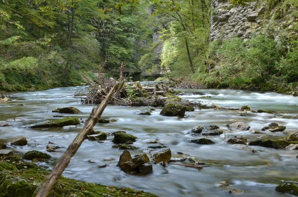 Vintgar Klamm Slowenien Water River Wild Rocks Photo Haute Qualité — Photo