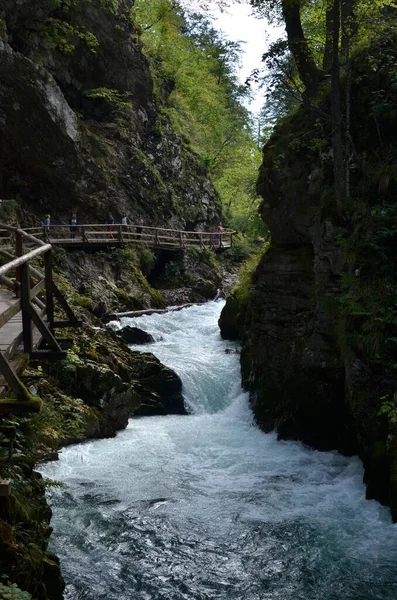 Vintgar Klamm Slowenien Water River Wild Rocks Inglés Foto Alta — Foto de Stock