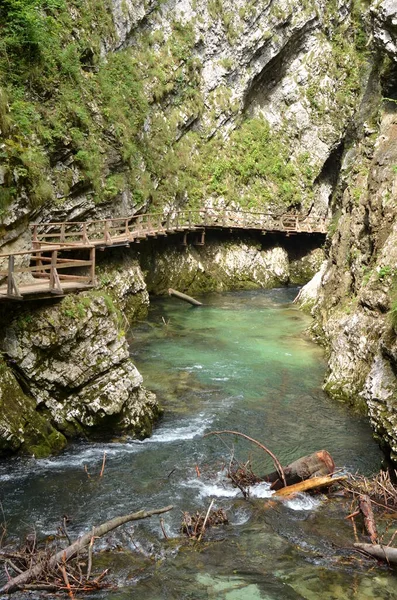 Vintgar Klamm Slowenien Water River Wild Rock Foto Berkualitas Tinggi — Stok Foto