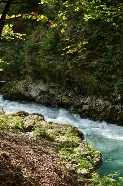 Vintgar Klamm Slowenien Water River Wild Rocks Inglés Foto Alta — Foto de Stock