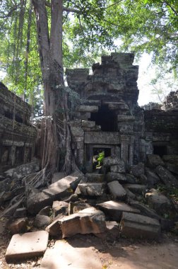 Angkor Wat Kamboçya tarihi Khmer tapınağını mahvediyor. Yüksek kalite fotoğraf