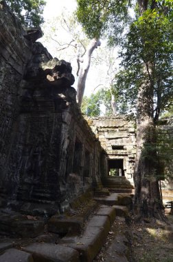 Angkor Wat Kamboçya tarihi Khmer tapınağını mahvediyor. Yüksek kalite fotoğraf