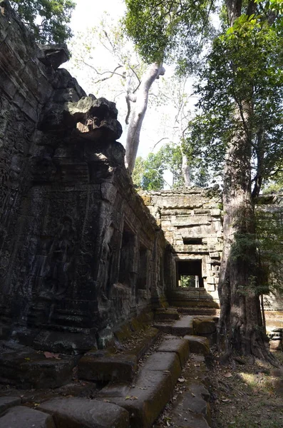 Ангкор Ват Камбоджа Разрушает Исторический Кхмерский Храм Высокое Качество Фото — стоковое фото