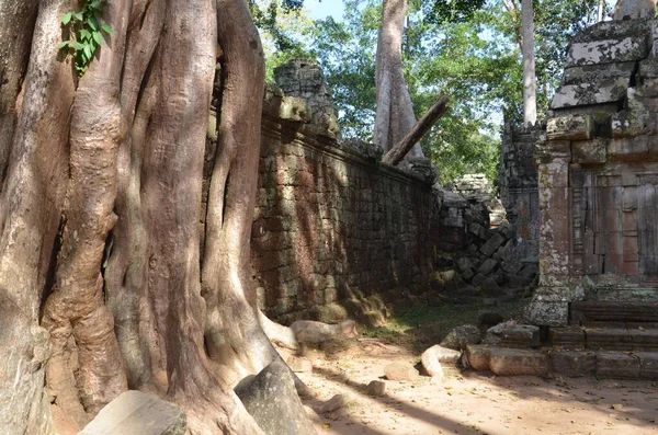 Angkor Wat Cambodge Ruine Temple Khmer Historique Photo Haute Qualité — Photo