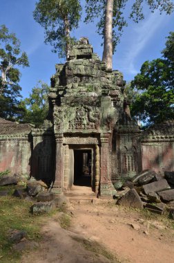 Angkor Wat Kamboçya tarihi Khmer Tapınağı Ağaç Kökleri kültürünü kaybetti. Yüksek kalite fotoğraf