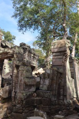 Angkor Wat Kamboçya tarihi Khmer tapınağını mahvediyor. Yüksek kalite fotoğraf