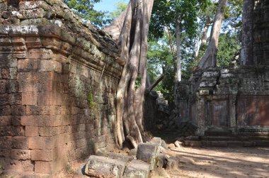 Angkor Wat Kamboçya tarihi Khmer tapınağını mahvediyor. Yüksek kalite fotoğraf