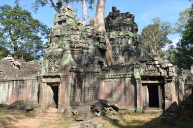Angkor Wat Kamboçya tarihi Khmer Tapınağı Ağaç Kökleri kültürünü kaybetti. Yüksek kalite fotoğraf