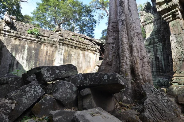Angkor Wat Camboja Arruina Templo Histórico Khmer Raízes Árvores Perderam — Fotografia de Stock