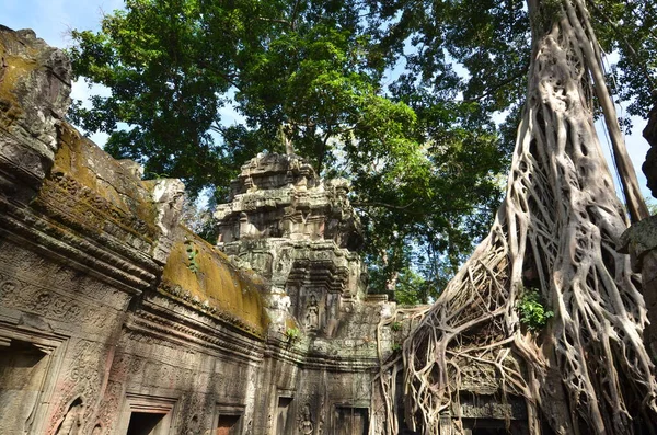 앙코르와 캄보디아가 역사적 크메르 뿌리를 파괴하면서 문화를 잃었다 고품질 — 스톡 사진