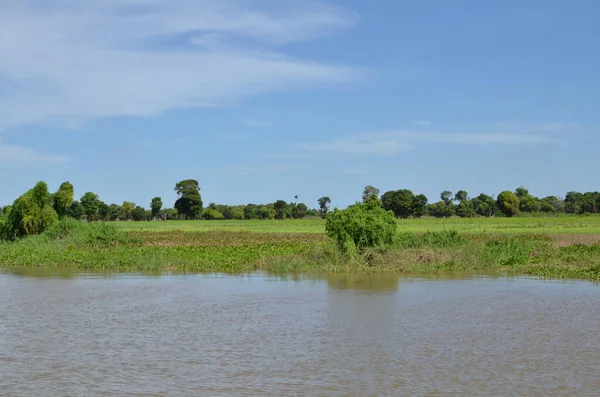Kust Van Mekong River Phnom Phen Cambodja Zonnige Dag Hoge — Stockfoto