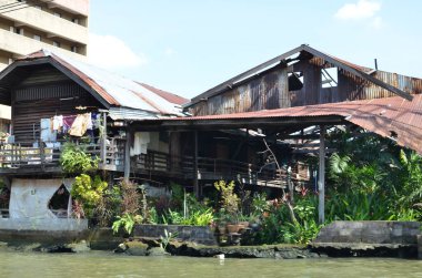 Bangkok, Asyalı Kanal Renkli Su Nehri kültürüne ev sahipliği yapıyor. Yüksek kalite fotoğraf