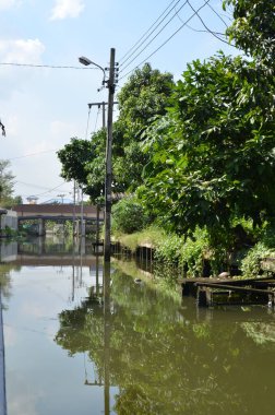 Bangkok uzun kuyruklu teknesi kanal boyalı su nehri Asya kültürü. Yüksek kalite fotoğraf