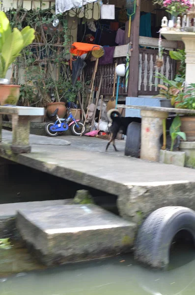 Bangkok Lokal Casa Canal Simplu Apă Vie Râu Cultura Asiatică — Fotografie, imagine de stoc