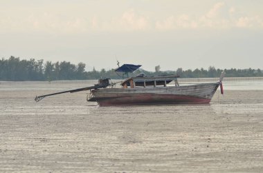 Uzun Kuyruklu Tekne Koh yao Noi Adası Tayland Sahili Panoraması. Yüksek kalite fotoğraf