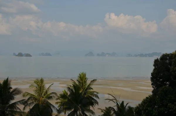 Пляжный Длиннохвостый Катер Пальмами Острове Ной Таиланде Высокое Качество Фото — стоковое фото