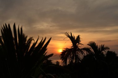 Avuç içi ve renkli tropikal kıyılarla gün batımı. Yüksek kalite fotoğraf