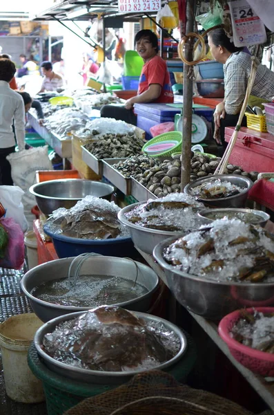 Рыба Ночном Рынке Камбодиа Раскрашена Яркие Цвета Высокое Качество Фото — стоковое фото