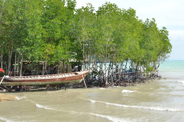 Phi Thailandia Rocce Blu Gita Barca Acqua Foto Alta Qualità — Foto Stock