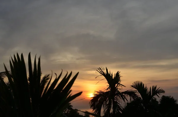 Pôr Sol Com Palmas Tailandesas Coloridas Costa Tropical Foto Alta — Fotografia de Stock