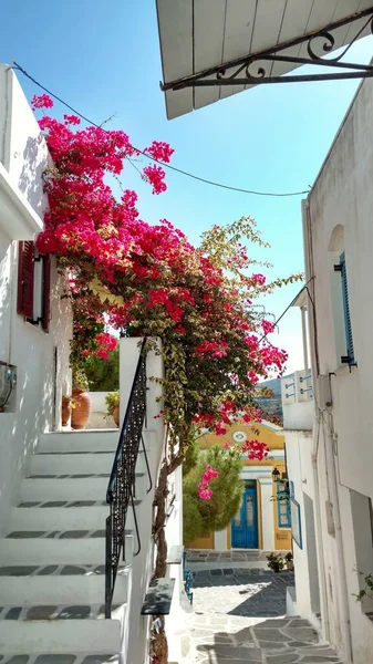 Small Village Paros Greece Mediteranean Island Aegean Blue White High — Stock Photo, Image