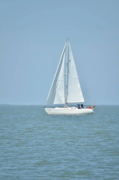 Navegando Velero Con Velas Blancas Cielo Azul Fondo Marino Ondulado — Foto de Stock