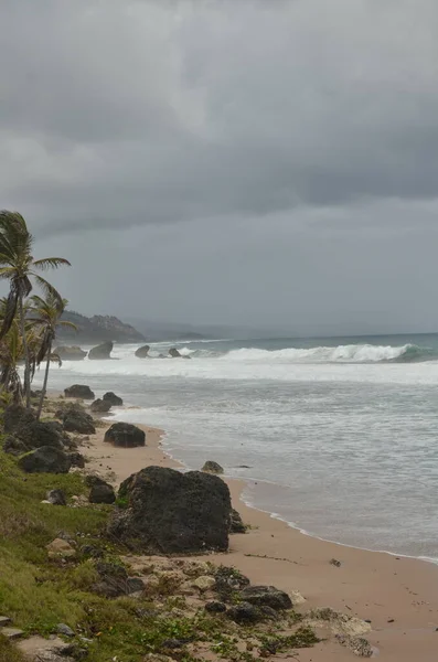 Caribic Caribbien Coast Hurricane Storm Wind Beauty Tropical Storm High — Stock Photo, Image