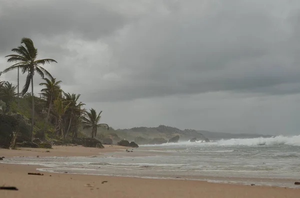 Caribic Karayipler Kıyısı Kasırgası Rüzgar Güzelliği Tropik Fırtınası. Yüksek kalite fotoğraf