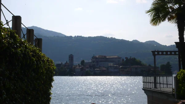 Lago Maggiore Italia Specchiante Palmo Contrasto Acqua Foto Alta Qualità — Foto Stock