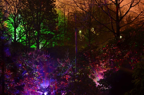 Lightshow Iluminowane Park Trees Kolorowe Wydarzenie Grugapark Essen Wysokiej Jakości — Zdjęcie stockowe