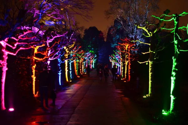 Lightshow Iluminated Park Trees Evento Colorato Grugapark Essen Foto Alta — Foto Stock