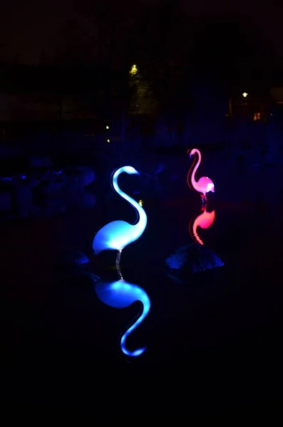 Neon Flamingo Nad Jeziorem Festiwalu Sztuki Lekkiej Grudze Essen Niemcy — Zdjęcie stockowe