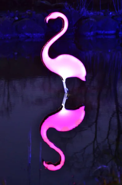 Neon Flamingo Sul Lago Light Art Festival Gruga Essen Germania — Foto Stock