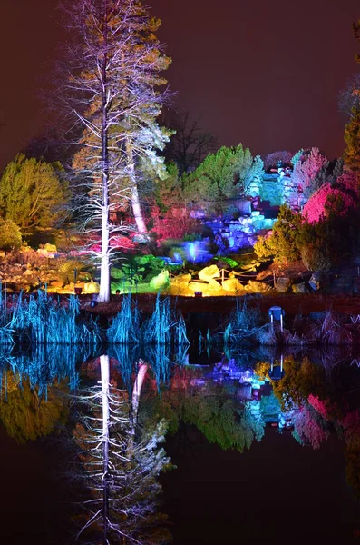 Oświetlone Drzewa Nad Jeziorem Lustrzanym Water Gruga Park Essen Niemcy — Zdjęcie stockowe