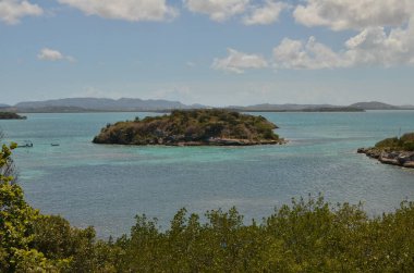 Barbados kıyı şeridi Karayip adası manzarası Yeşil mavi bulutlar. Yüksek kalite fotoğraf