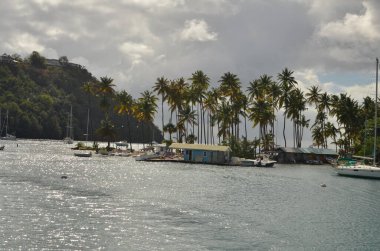 Barbados sahil plajları ve harika Karayip gölü kayaları. Yüksek kalite fotoğraf