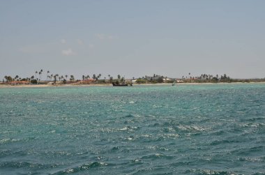 Willemstad Dutch Hollanda Antiller Karayipler Karayipler Curacao Adası Sahili. Yüksek kalite fotoğraf