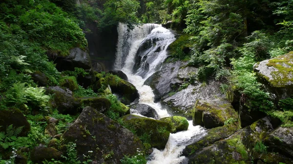 Germanys Más Grande Waterfalltriberg Cascada Selva Negra Alemania Bosque Big — Foto de Stock