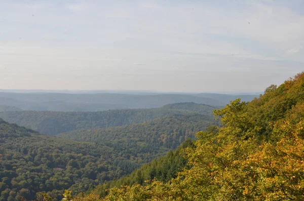Pfaelzer Waldは 森林夏の丘の美しさの背景を緩和します 高品質の写真 — ストック写真