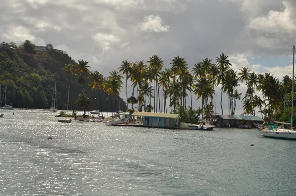 Barbados Kust Stranden Rotsen Prachtige Caribische Lagune Hoge Kwaliteit Foto — Stockfoto