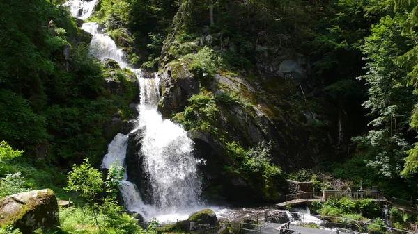 Німецький Найбільший Водоспад Waterfell Triberg Black Forest Germany Forest Big — стокове фото